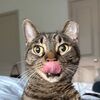 bubbaiscute